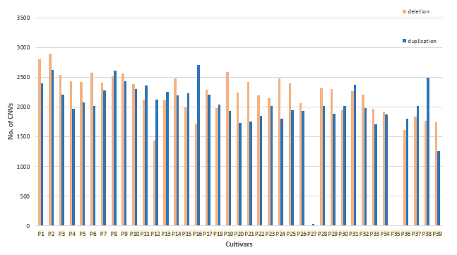 Cultivar wise distribution for CNV