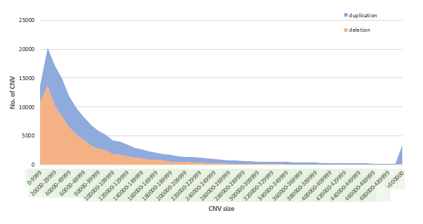 CNV SIZE