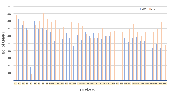 Cultivar wise distribution for CNVR