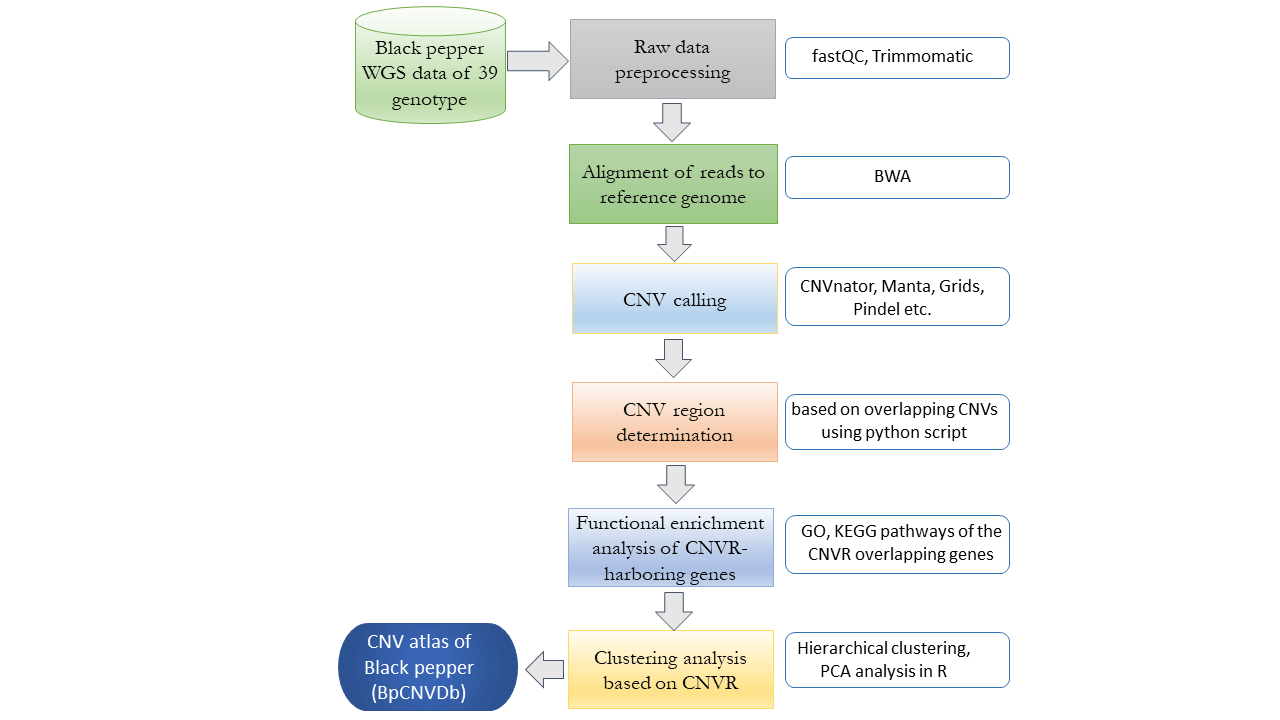 FLOW CHART